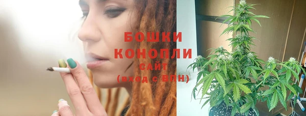 PSILOCYBIN Армянск