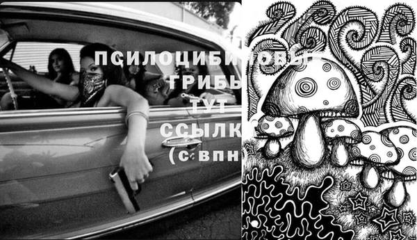 индика Арсеньев