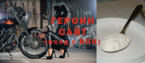 индика Арсеньев