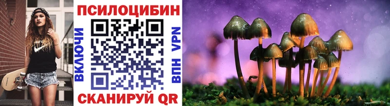 Галлюциногенные грибы MAGIC MUSHROOMS  kraken ONION  Дорогобуж 