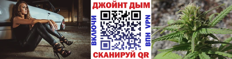 закладки  Дорогобуж  Канабис планчик 